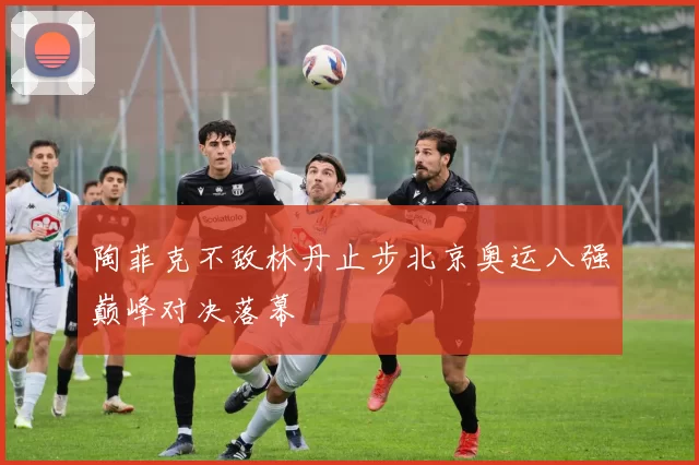 陶菲克不敌林丹止步北京奥运八强巅峰对决落幕