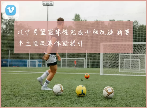 辽宁男篮篮球馆完成升级改造 新赛季主场观赛体验提升