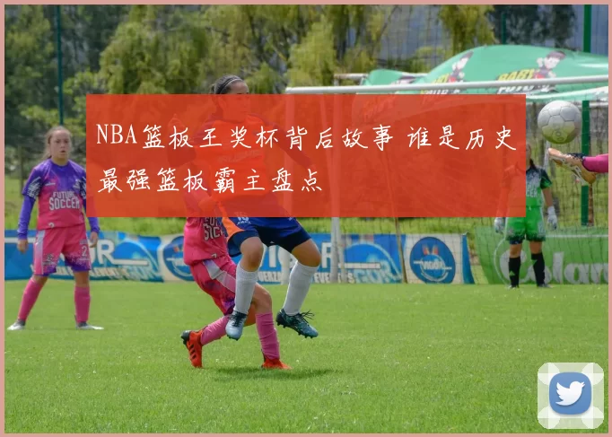 NBA篮板王奖杯背后故事 谁是历史最强篮板霸主盘点