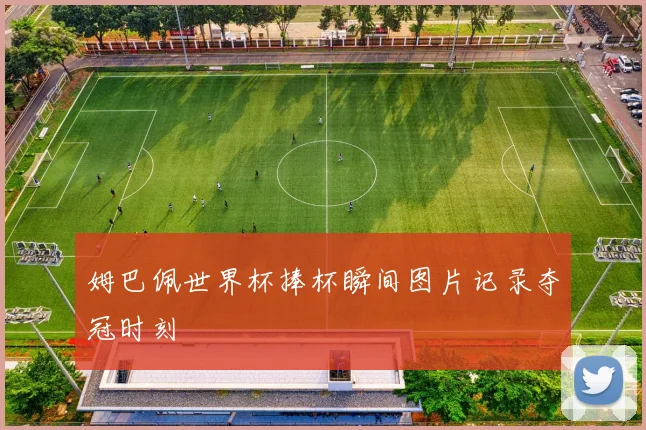 姆巴佩世界杯捧杯瞬间图片记录夺冠时刻
